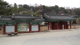 춘천시, 김유정역~팔미교차로 간 도로 확장공사 연말 준공키로