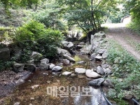 칠갑산도립공원 냉천골 야영장 본격 개장