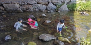 남양주 진접 금곡천이 살아났다