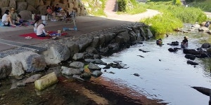 남양주 진접 금곡천이 살아났다