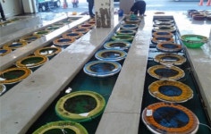 목포수협, 북항활어위판장 수산물 양륙 용역 계약 비영리단체와 체결 말썽