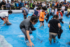 광양시, 망덕포구 무접섬광장서 제19회 광양전어축제 개최
