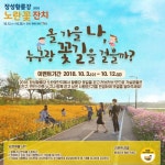 장성 노란꽃잔치, SNS로 먼저 즐긴다