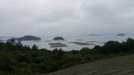 진도군, 어가(漁家) 도우미 지원 사업 실시