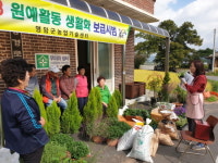 영암군, 아름다운 마을 가꾸기 원예생활화사업 박차