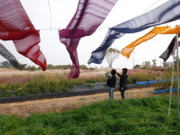 함평군, 억새정원 개장…공간을 조각하다