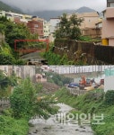 부산시, 쥐 득실...구포 대리천 복원사업 주민 불만 고조