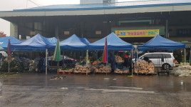 인천시, 올 김장철 김장채소 안정적 공급에 만전