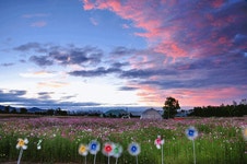 수원시, 공식 페이스북에서 당수동시민농장 추억공유 이벤트