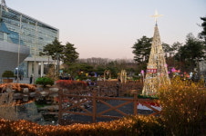 성남시청·야탑역 광장 성탄 트리 반짝반짝