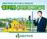DB손보, 어린이 교통사고 예방 옐로카펫 캠페인 진행