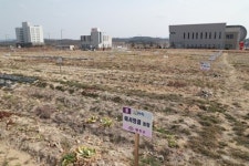 주말엔 나도 농부…예천군, 도청신도시 입주민 텃밭 분양