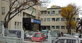 울릉군, 일주도로 개통기념 전국 마라톤 대회 30일 개최