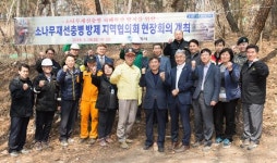 구미시 소나무재선충병 방제 지역협의회 현장회의