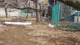 구미시, 손놓은 수해 민원 해결 따가운 눈총