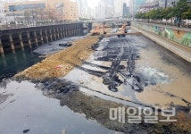 부산 동천정비사업 방식···환경단체 근본해결책 아냐 우려
