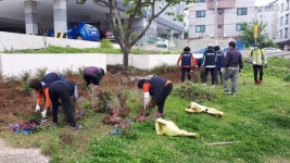 구미 인동문화유산지킴이, 행복홀씨 입양