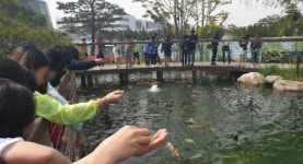 수원 화서초교, 삼성전자와 함께하는 에코스쿨 참가