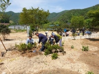 담양군, 산림단체와 함께하는 산촌생태마을 가꾸기