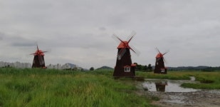 인천시, 소래습지생태공원 자연마당조성 착수