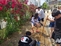 문막초등학교 더(#) 깨끗한 원주 만들기 앞장