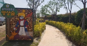 광양시, 골약초등학교에 명상 숲 조성