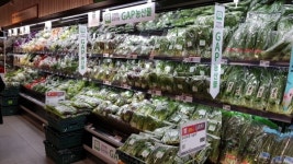 용인시, 롯데마트에 GAP인증 로컬 농산물 공급