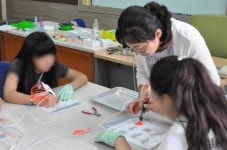 수원 수일초, 직접 체험하는 소프트웨어(SW)축제 개최