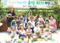 [포토]금천구, 아이들과 함께 도심 속 수박 따기 체험