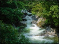 강원 도립 집다리골자연휴양림, 낮 기온 춘천명동 대비 최대 8℃ 낮아