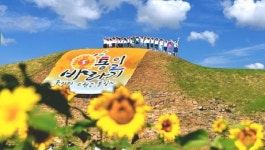 연천군 장남면 제6회 통일바라기축제 개막