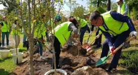 수원시, 24일 시민과 함께 나무 심고 미세먼지도 줄이고