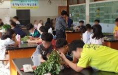 원일초교, 친환경 에코팜 체험 자연과 사람을 건강하게