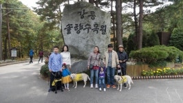 강원도, 장벽 없는 특별한 여행 동행 강릉편 행사 개최