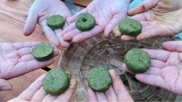 장흥 청태전, 소비자 초청 팜파티 호응