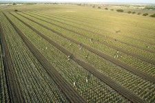 유니베라, 세계일류상품 알로에 부문 17년 연속 1위