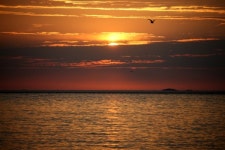 인천 옹진군 장봉도서 해넘이 및 제야의 밤 행사 열려