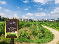 성남시 성남시민농원 실버텃밭 신청하세요