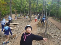 화순군, 자연과 함께하는 숲해설·유아숲 체험프로그램 운영