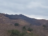 산림청 춘천국유림관리소, 강원도 화천 산불 진화 완료
