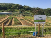 부천시, 오는 17일부터 시민농장 참여자 모집