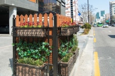 양천구, 꽃으로 전하는 초록울타리 봄소식