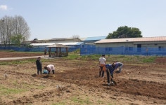 수원시, 도심 속 텃밭 체험 가능한 시민농장 개장