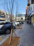 인천 남동구, 구월동 문화로89번길 일원 무궁화 명품가로수길 조성