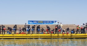 장흥군, 회진면 대리항에 어린 감성돔 26만 미 방류