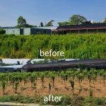 충서로타리클럽, 온석동 무궁화동산 환경정화 활동 펼쳐