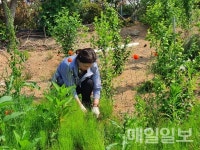 충서로타리클럽, 온석동 무궁화동산 환경정화 활동 펼쳐