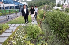 양구군, 치매안심센터 · 보건소 옥상 녹화사업 완료