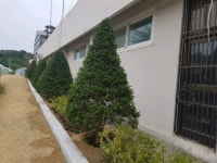 [포토뉴스] 연천군 미산면사무소 조경으로 주변 환경 정화 실시