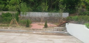 양구군, 방산중학교에 명상 숲 조성 완료
